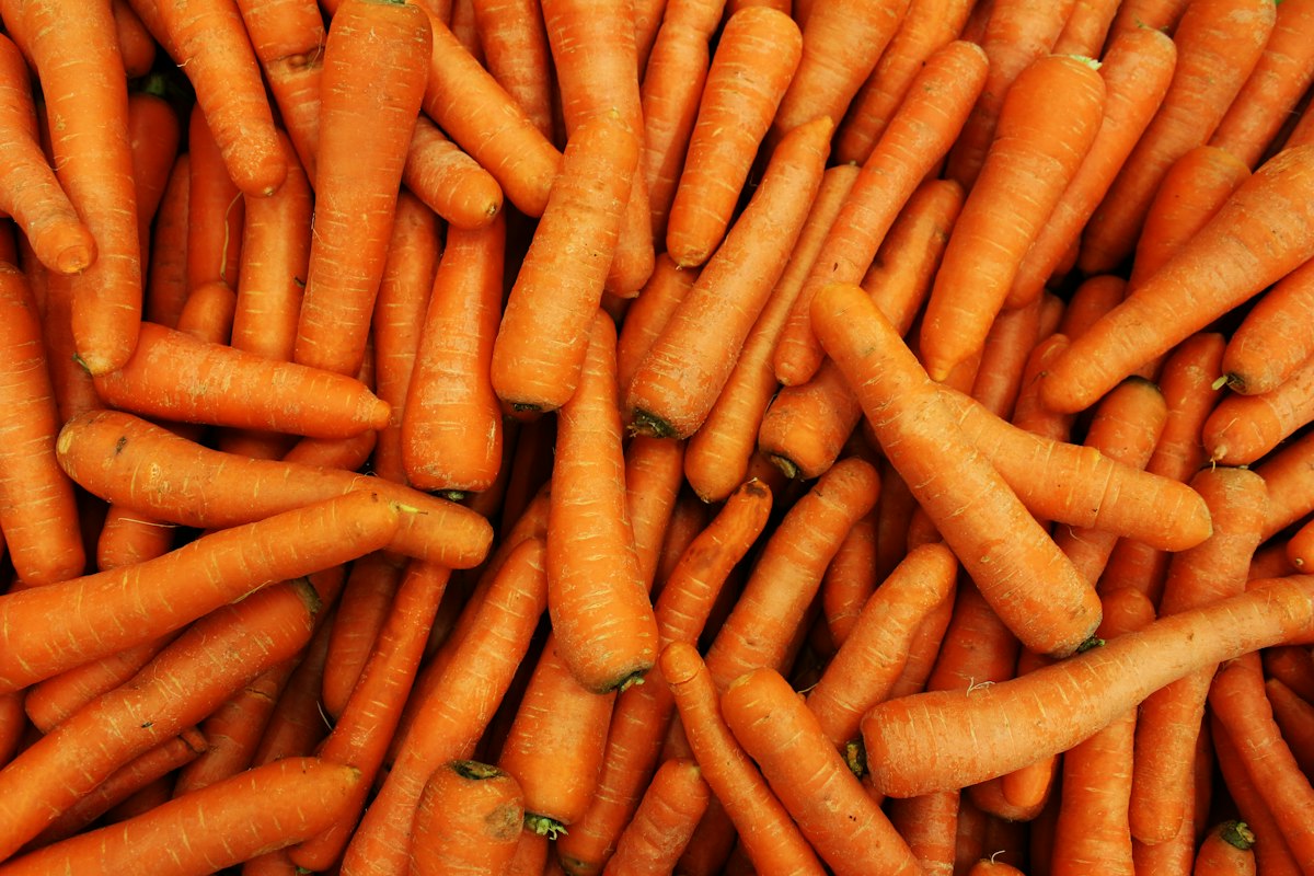 Orange und Zitrusfrüchte